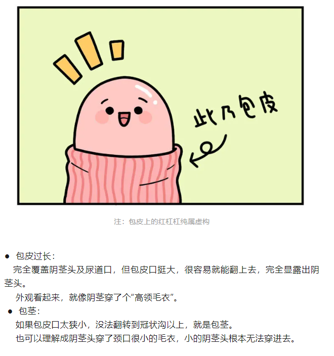 1722934663974306.png image.png