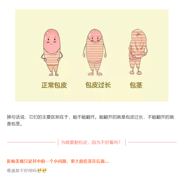 1722934684219271.png image.png