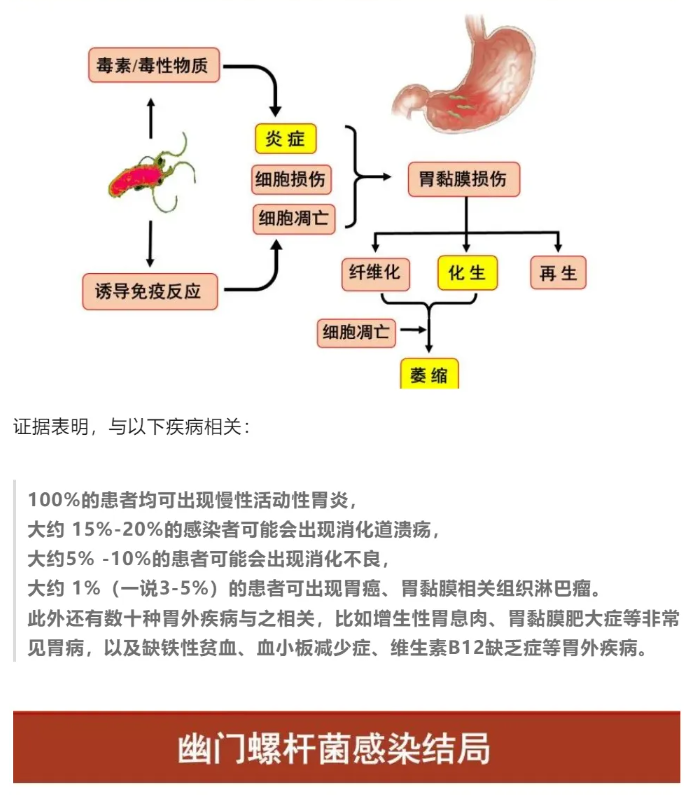 1730101703909386.png image.png