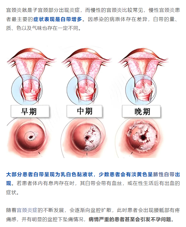 1730449658108706.png image.png