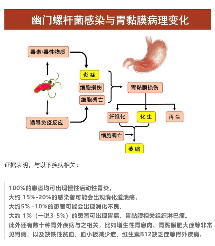 1730449784883388.png image.png